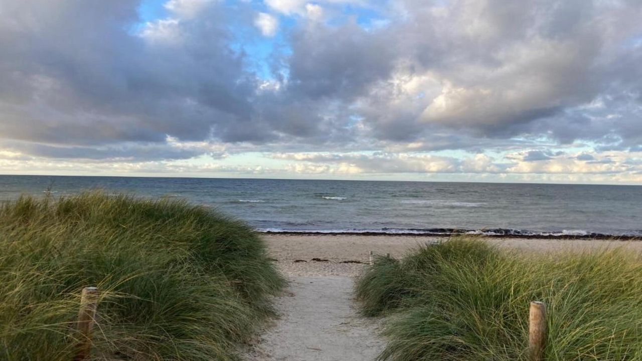 AreaSummer5KM AreaSummer5KM